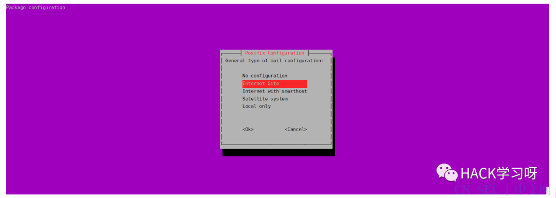 钓鱼攻击：Gophish邮件钓鱼平台搭建